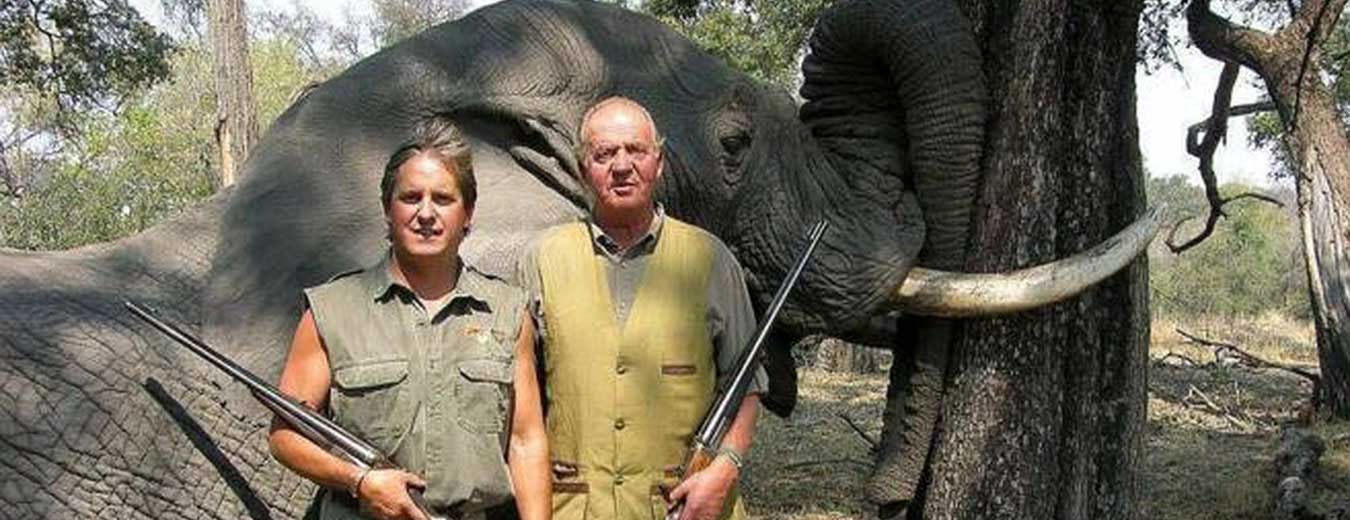 Juan Carlos og Elefanten